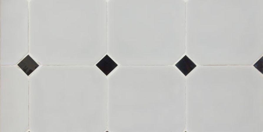 octagon_equipe_1.jpg